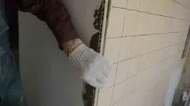 изберем изберем