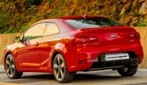 cerato
