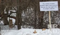 тъжна добър