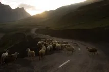 глава раменете отидох