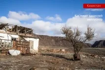 милионер казахски