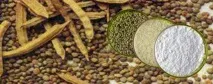 Камедь гуарова - що це Чи шкідлива гуарова камедь Є користь від неї гуарова