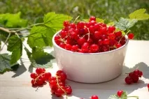 полезни грозде