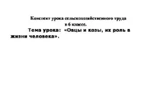 Конспект уроку сільськогосподарської праці - Конспект уроку сільськогосподарської праці - Вівці сільськогосподарської