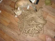 Когтеточка для котів своїми руками, all-he своїми