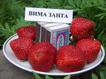 відгуки