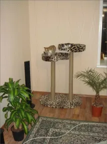 Когтеточка для котів своїми руками, all-he котів