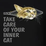 котки