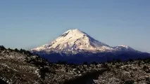 куди