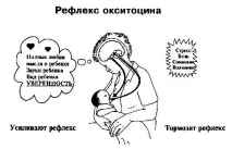 Лактаційний криз що робити і які причини виникнення криз