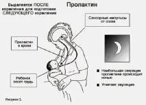 Лактаційний криз що робити і які причини виникнення лактаційний