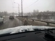 тези сочни защото прасето