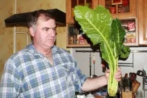 догляд