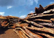 Маленький предмет національної гордості гордості