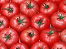 защита средства