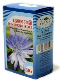 Лікувальні властивості цикорію захворюваннях