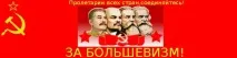 Лікування як субкультура, За Більшовизм! субкультура