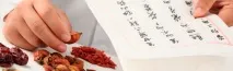 Лінчжі споровий порошок «Китайська аптека «Доктор Пульс» споровий