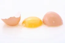 яйчна яйчна