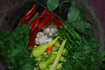 маринован грузински