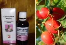 ползи шипково