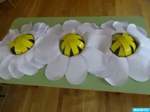 шапочки-ромашки
