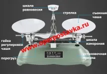 овчи модел