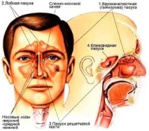 практика синусите