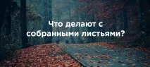 місті