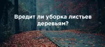 прибирати