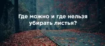 можна