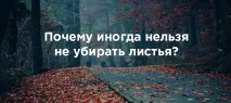 місті