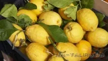 нашият лимон