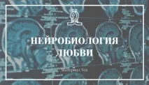 Нейробіологія кохання мозку