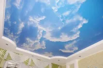 тавани компания
