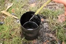 Натуральні антисептики деревини