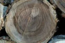 Настільний годинник та їх історія годинник