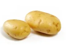 съвета съвета