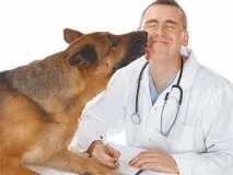 любимци логинов