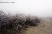 Об’єм кадру у фотографії ГРІП