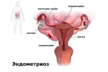 Норколут інструкція із застосування при клімаксі інструкція