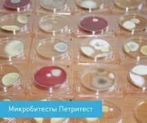 дебели закваски алтернатива