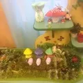 куточка