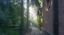 Обприскування дерев від короїда, Вартість обприскування. короїда