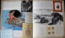 Океанологія - Кращі Дитячі Книги океанологія