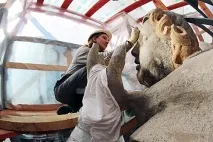 като склад като склад
