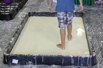 досліди