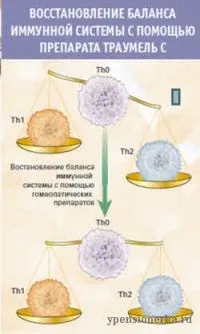 Чи пригнічувати запалення роль імунної системи, імунітету роль