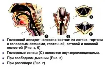 Чому не всі люди можуть добре співати, Техкульт люди