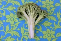 какви храни